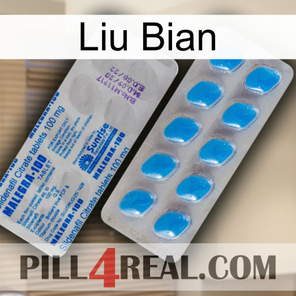 Liu Bian new15